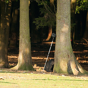 20090926 3057 [NIKON D2Xs]   500 mm  1 180 Sek. bei ƒ   4,8