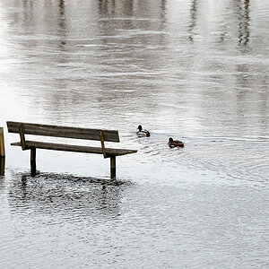 Hochwasser Haren0008