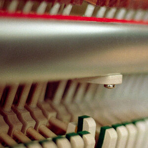 DOF 12