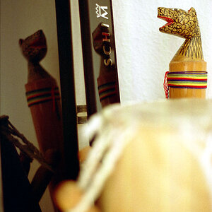 DOF 08