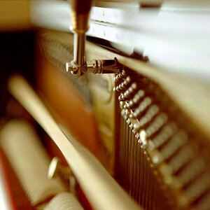 DOF 2