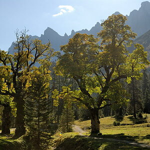 20091007 113253 Karwendel, kleiner Ahornboden