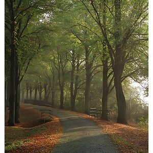 zu wenig Nebel I