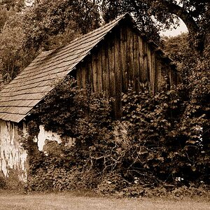 Altes Haus sepia