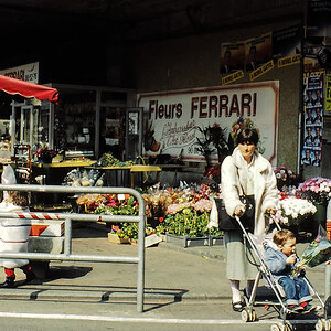PA170036.jpg
