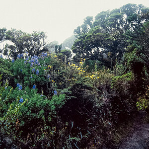 026_Ecuador_Galapagos_02_45.jpg