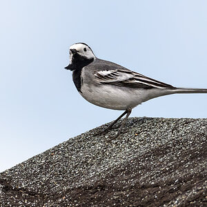OF5_28179.jpg
