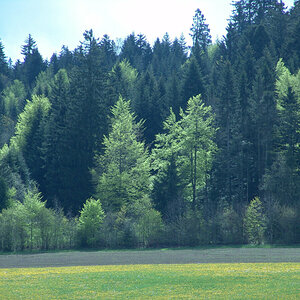 DSC06744.jpg