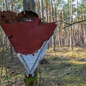 Schild mit Blick.jpg