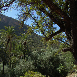 DSC05669-Bearbeitet.jpg
