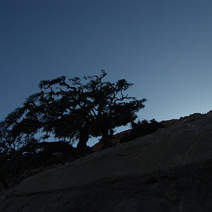DSC05789-Bearbeitet.jpg