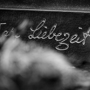 Z62_0913_DxO_1.jpg
