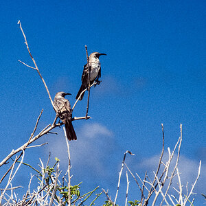 049_Ecuador_Galapagos_03_47.jpg