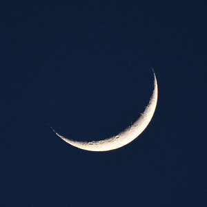 DSC_5890.JPG