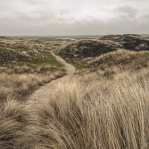 Dünenlandschaft auf Texel