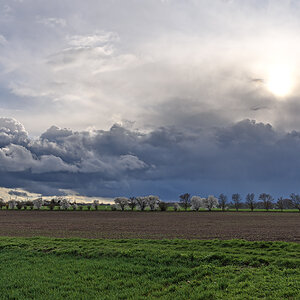 OF2_62314.jpg