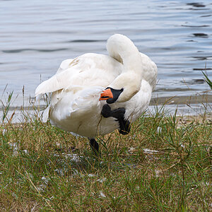 OF2_58180.jpg