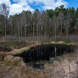 Bullenkuhle.jpg
