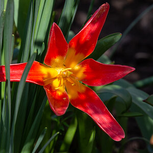 DSC_5782.jpg