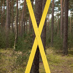 Gorleben 4.jpg