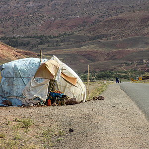 DSC04943.jpg