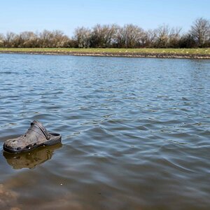 Croc Sailing 2.jpg