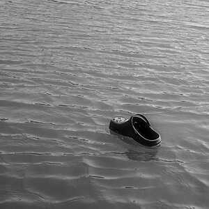 Croc Sailing 3 BW.jpg