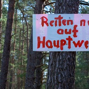 Selbstgeschrieben.jpg
