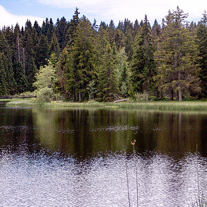 DSC08834.jpg