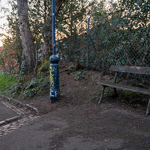20230409-NZ6_6414.jpg