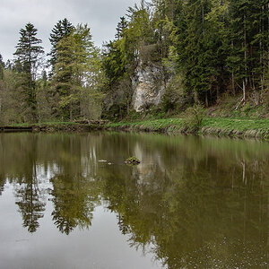 DSC01351.jpg