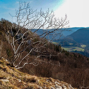 P1010582.jpg