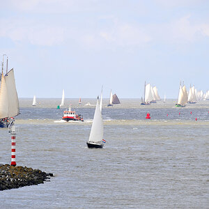 Harlingen Kojenwechsel.jpg