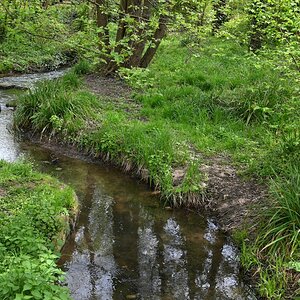 Bachlauf Z fc 28mm.jpg