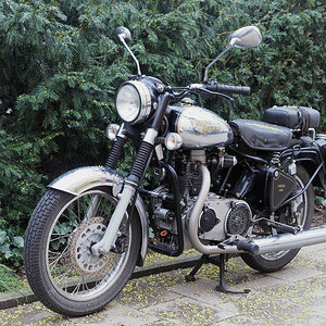 Royal Enfield Diesel 440 F.jpg