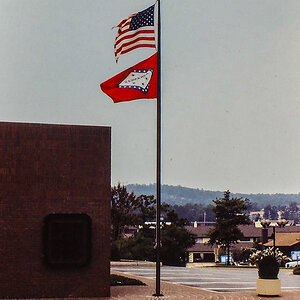 PA230365-3.jpg