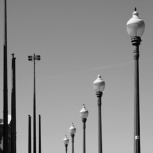 Z7H_2355.jpg