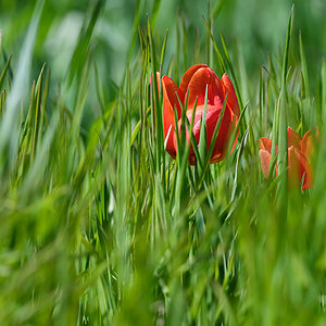 OF5_29343.jpg