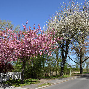 DSC_6147.JPG