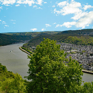 Rhein-04.JPG