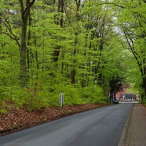 Frühlingsstrasse.jpg