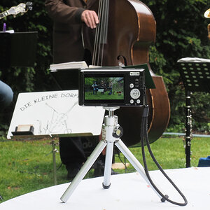 Sony Swing.jpg