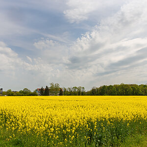 OF2_62417.jpg