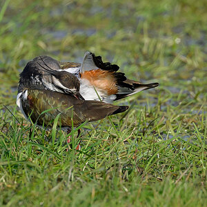 NZ9_5380_Körperpflege_IA_4_20123.jpg