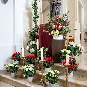 DSC00680-Verbessert-RR.jpg