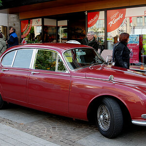 Jaguar1.JPG