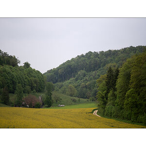 SasaDSC_0032.jpg
