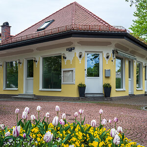 _D750985-Verbessert-RR.jpg