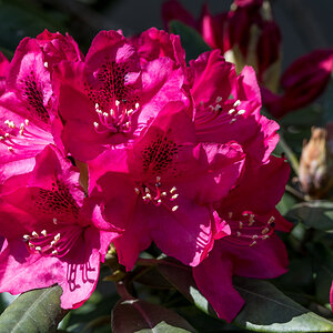 230518-005.jpg