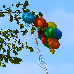 OF5_29125.jpg